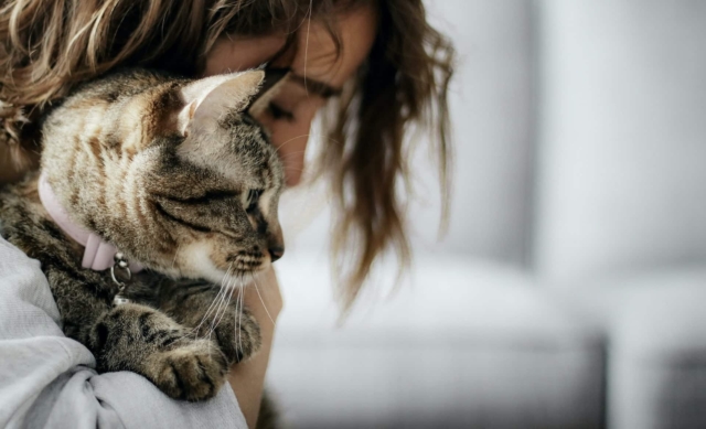 building a bond with your cat